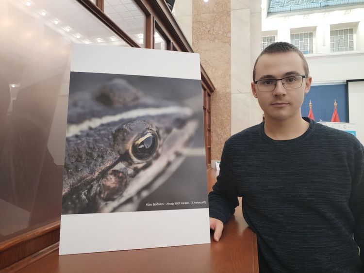 Kósa Bertalan újabb fotós sikerei