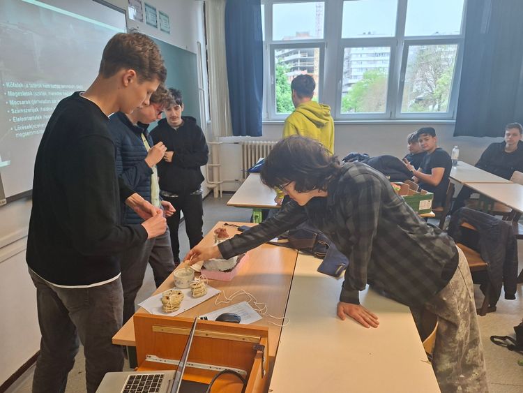 Hogyan éld túl a Tatárjárást?