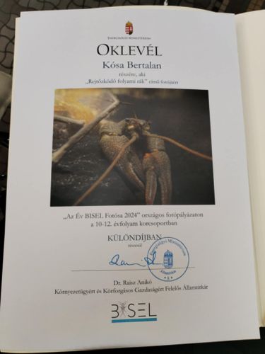 Oklevél