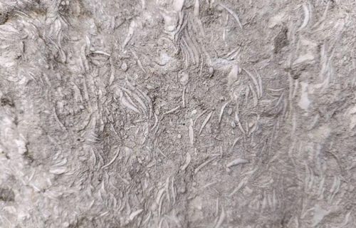 Geológiai felfedezés az iskolaudvaron