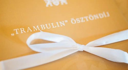 Meghosszabbították a Trambulin ösztöndíj leadási határidejét!