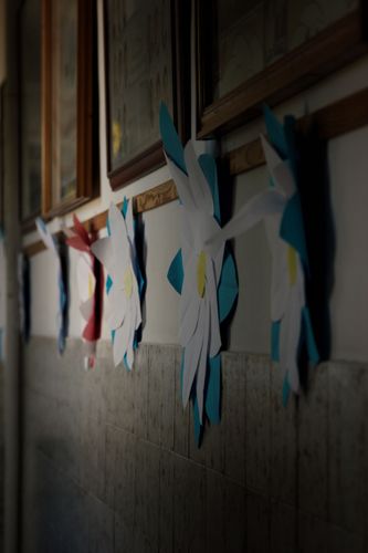 _MG_6721.jpg